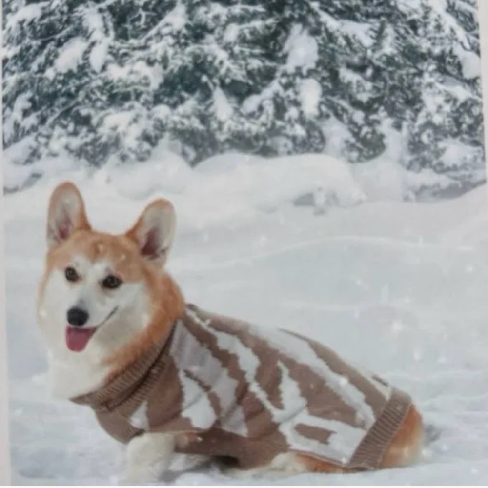 Koolaburra by UGG Owen Mildura Pet Dog Knit Sweater Brown Cream Earthy Sz Small